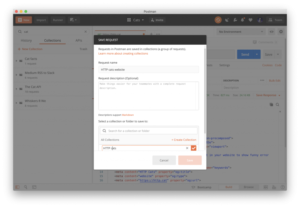 HTTP Cats: Use the Cat API & Postman to Learn HTTP Status Codes ...