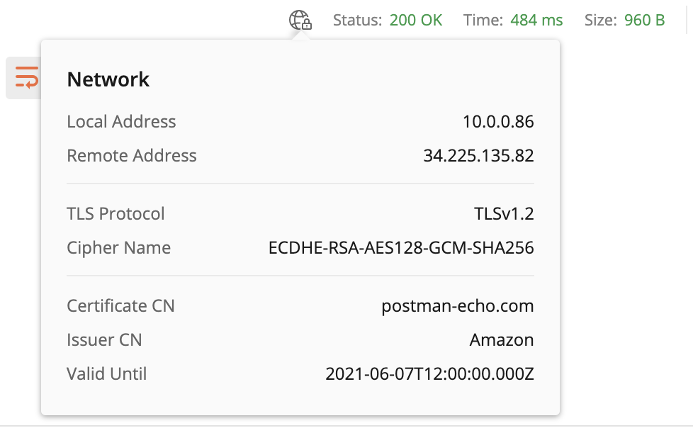 See network information for API requests sent through Postman