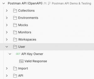 Postman API User folder