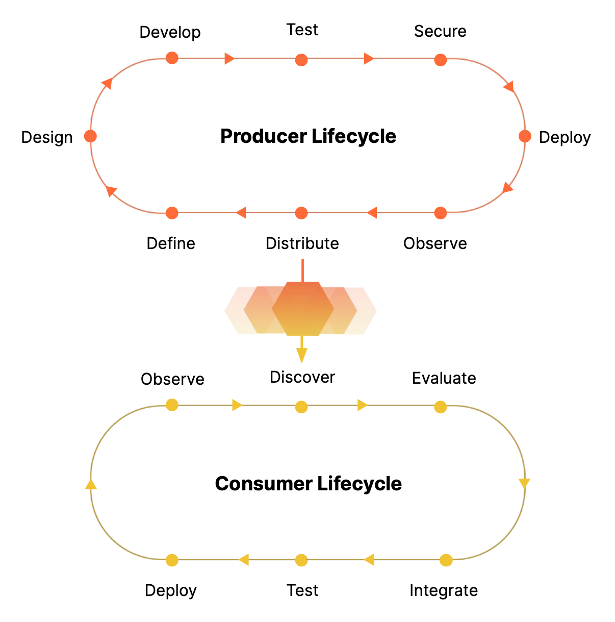 Picture of the API Lifecycle 