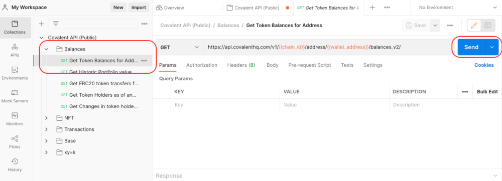 Select the Get Token Balances for Address endpoint