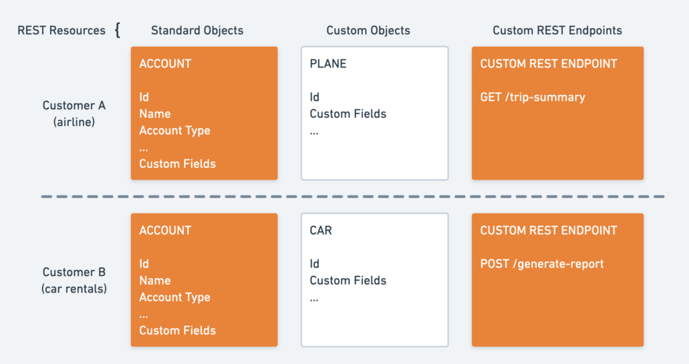 Comparison of two customers using the same REST resources with their own custom fields and objects