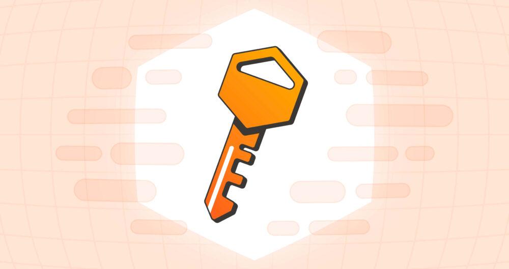 What is an API key?