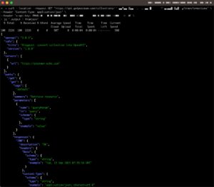 A terminal displaying the jq command and its formatted JSON object response